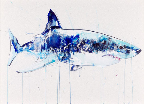 Dave White, Great White - Framed