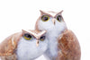 Frogman Bronzes, Hoo's Who - Sculpture