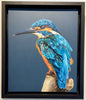 Gina Hawkshaw, Kingfisher Original - Framed