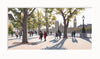 Jo Quigley, Early Autumn South Bank - Framed