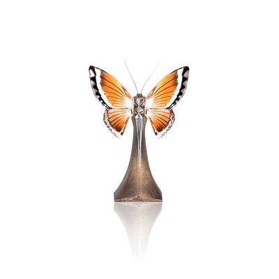 MALERAS - Ready To Fly Orange - LTD ED of 49