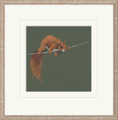 Nicky Litchfield, Balancing Act - Framed