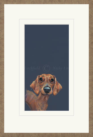 Nicky Litchfield, Sausage - Framed 