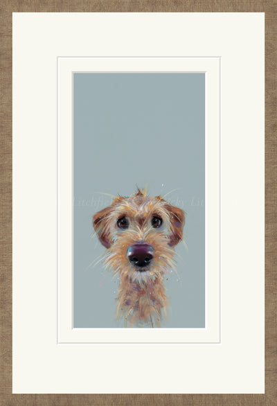 NICKY LITCHFIELD - Scruff