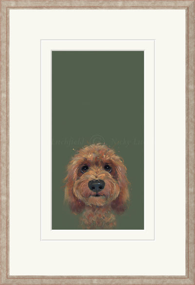 NICKY LITCHFIELD - The Look...