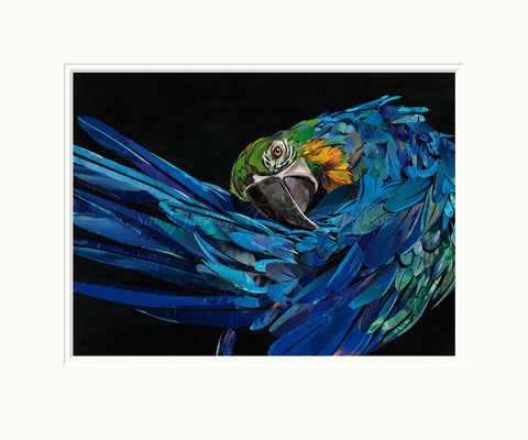 Sarah Jackson, Malachi - Framed