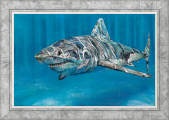 SARAH JACKSON - Solace