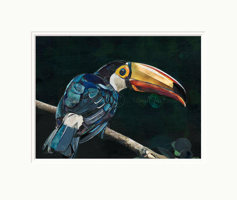 Sarah Jackson, Tango - Framed