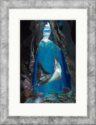 Sarah Jackson, Utopia - Framed