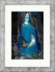 SARAH JACKSON - Utopia