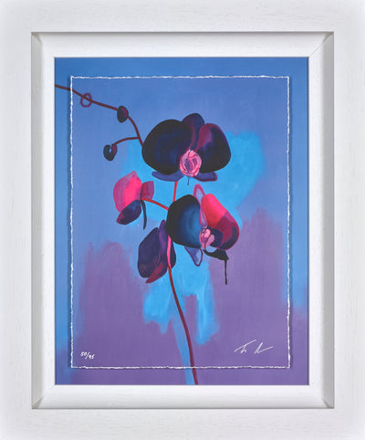 TIM FOWLER - Eclipse