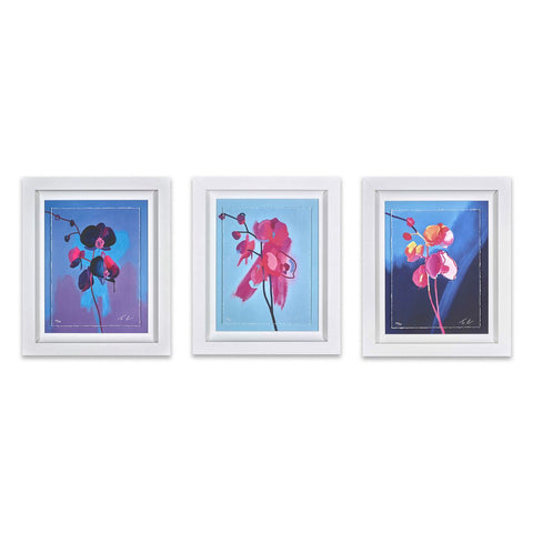 Tim Fowler, Set of 3 Orchids - Framed