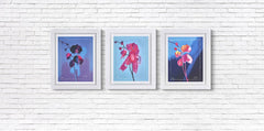 TIM FOWLER - Set of 3 Orchids
