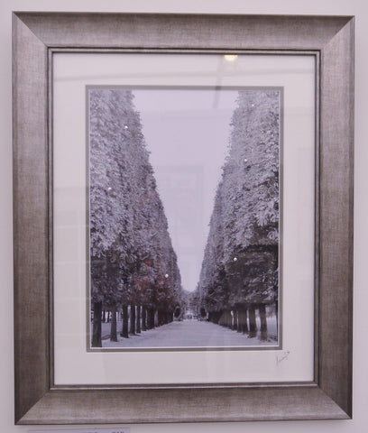 Avenue des Arbres by Clare Wright