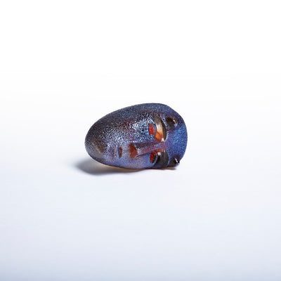 KOSTA BODA - BV Brains Go For It