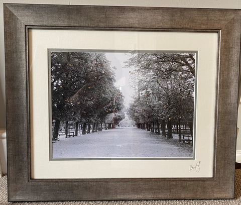 Clare Wright, Parisienne Parade Small - Framed