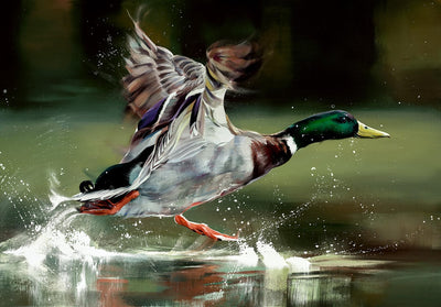 DEBBIE BOON - On Your Marks