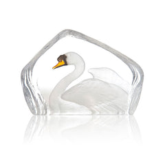 MALERAS - Swan
