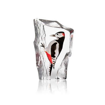 MALERAS - Woodpecker