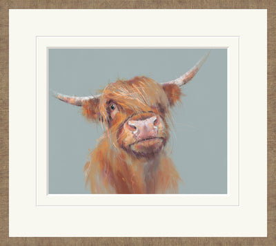 NICKY LITCHFIELD - Brodie