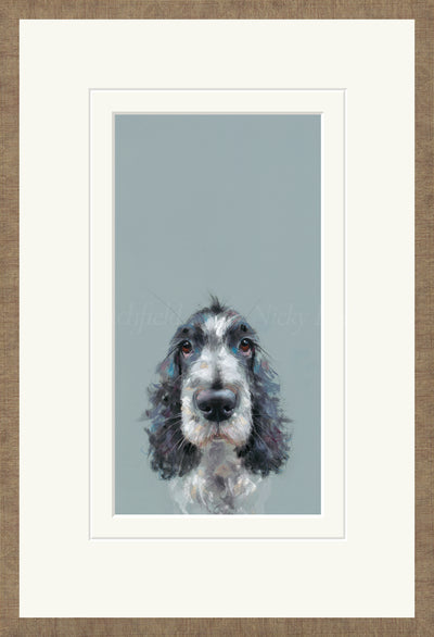 NICKY LITCHFIELD - Can I Come Too?