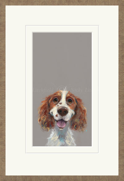 NICKY LITCHFIELD - Happy Go Lucky